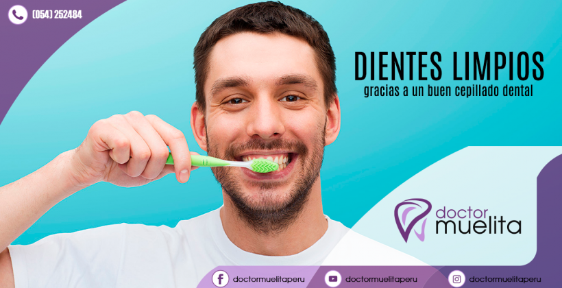 ¿Cuantas veces al día debo cepillarme los dientes? ¿Cuantas veces al día debo cepillarme los dientes?