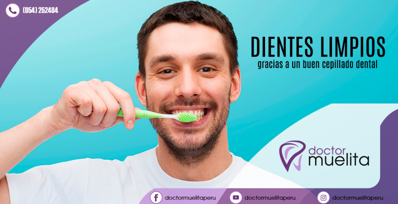 ¿Cuantas veces al día debo cepillarme los dientes?